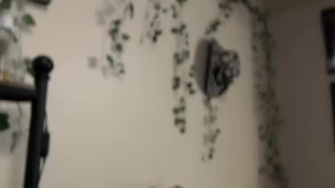 Snapshot of therealferrarii chatting on May 2026 05:01:02 AM therealferrarii online show from May 2026 05:01:02 AM