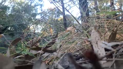 Snapshot of therealkurva4u chatting on January 2025 07:51:02 PM therealkurva4u online show from January 2025 07:51:02 PM