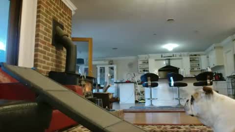 Snapshot of therealkurva4u chatting on September 2025 08:07:01 AM therealkurva4u online show from September 2025 08:07:01 AM