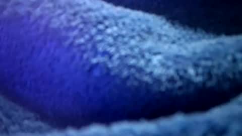 Snapshot of thetasigma69 chatting on February 2026 01:18:01 PM that would be telling online show from February 2026 01:18:01 PM