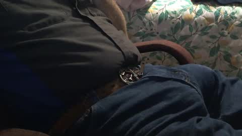 thetnguy online show from December 2024 12:42:02 AM