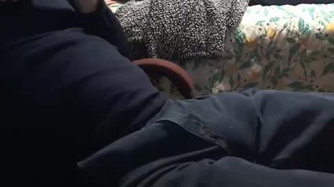 thetnguy online show from January 2025 03:17:02 AM