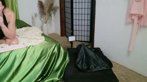 Snapshot of thewillowfox chatting on May 2026 02:40:01 AM The Willow Fox online show from May 2026 02:40:01 AM