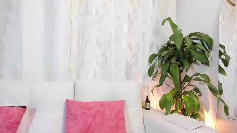 Thiago  online show from February 2026 11:10:01 PM