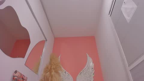 Lexxy online show from February 2026 11:53:02 AM