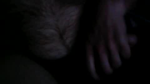 thick9dtf online show from June 2026 03:01:02 AM