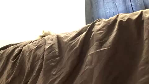 Snapshot of thickdickclit chatting on March 2026 06:40:01 PM thickdickclit online show from March 2026 06:40:01 PM