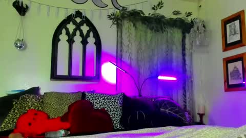 thickneyaadams online show from July 2026 04:25:01 AM