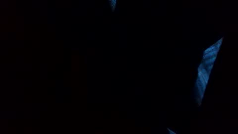 Snapshot of thisdixforyou chatting on December 2024 07:40:01 PM thisdixforyou online show from December 2024 07:40:01 PM