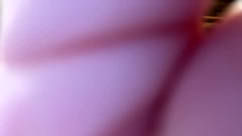 throatgoat2210 online show from December 2025 01:05:02 PM