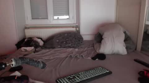 tiffanysissyx online show from September 2025 11:38:01 PM