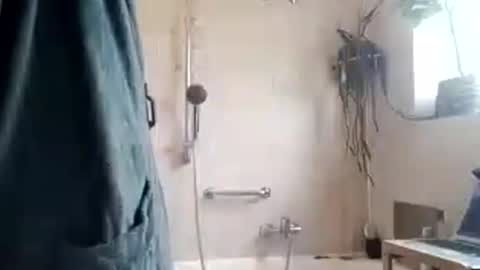 Snapshot of tigertrance chatting on November 2025 10:26:01 AM tigertrance online show from November 2025 10:26:01 AM