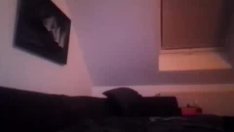 Snapshot of tigertrance chatting on November 2025 01:55:02 AM tigertrance online show from November 2025 01:55:02 AM