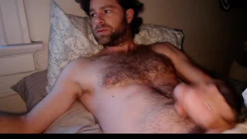 tigerzaddy online show from February 2026 02:16:02 PM