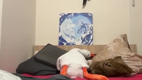 Snapshot of timveret chatting on February 2025 08:02:02 PM Wizard online show from February 2025 08:02:02 PM