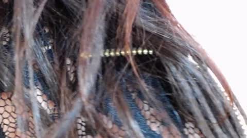 Snapshot of tinakay1 chatting on December 2024 12:11:01 PM tinakay1 online show from December 2024 12:11:01 PM