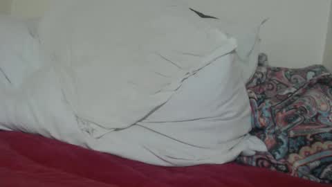 Tina online show from March 2025 03:24:02 PM