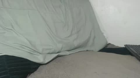 Tina online show from April 2026 02:50:02 AM