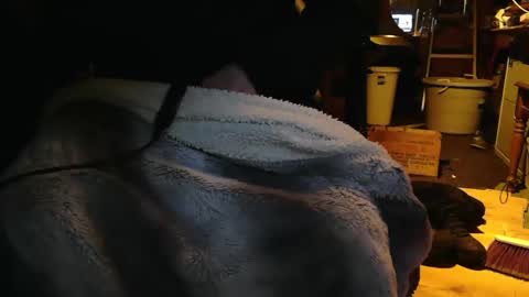 tinkertrain420 online show from December 2024 09:56:01 AM