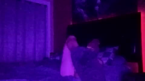 tipme240734 online show from November 2025 07:08:02 AM