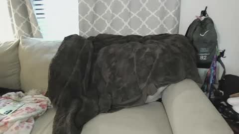 tittee mcgee online show from September 2025 06:41:02 PM