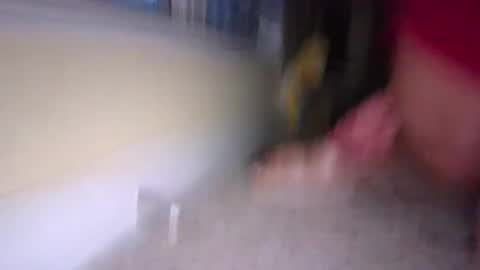 Snapshot of tj526316275 chatting on January 2025 12:19:02 PM tj526316275 online show from January 2025 12:19:02 PM