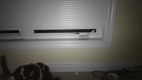 tj526316275 online show from April 2026 06:47:02 AM