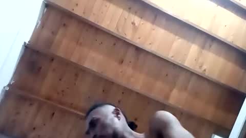 DESTROY.S online show from November 2025 05:20:01 AM