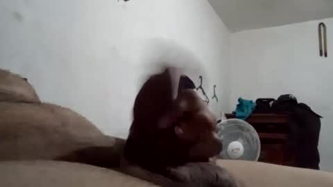 tobe557337 online show from December 2024 07:29:01 AM