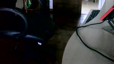 Tobiko online show from November 2025 03:30:02 PM