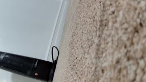 Snapshot of tokens4manni chatting on November 2025 02:10:02 AM tokens4manni online show from November 2025 02:10:02 AM