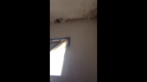 Snapshot of tolenevelyn46 chatting on June 2026 10:04:02 PM tolenevelyn46 online show from June 2026 10:04:02 PM