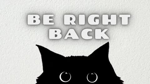 Tolli Moll online show from January 2025 11:49:02 AM