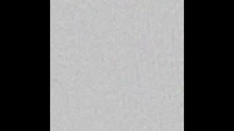 tommy and sophie online show from December 2024 11:19:02 PM