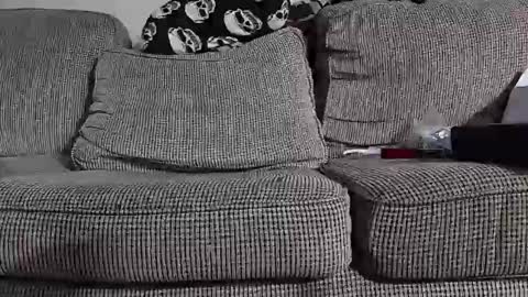 Snapshot of tomnor13 chatting on March 2026 05:22:01 AM tomnor13 online show from March 2026 05:22:01 AM