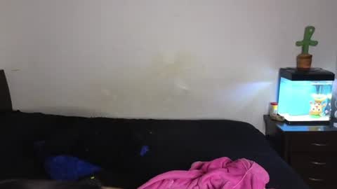 Snapshot of tony_and_sophia chatting on July 2026 12:02:02 AM Sophia Tony online show from July 2026 12:02:02 AM