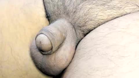 tonyisback2023 online show from November 2025 02:54:01 PM