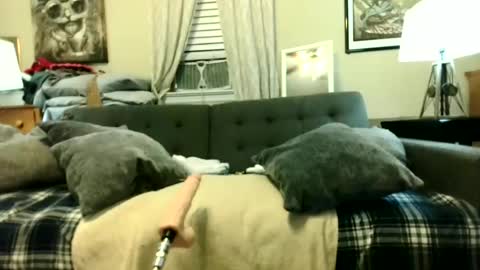 Tony Luv    Fuck Machine  online show from June 2026 10:19:02 AM