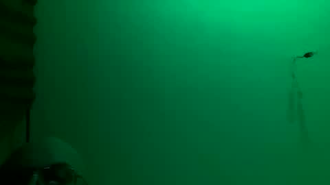 Snapshot of torrero_german chatting on November 2025 03:17:01 AM MisterXxX online show from November 2025 03:17:01 AM