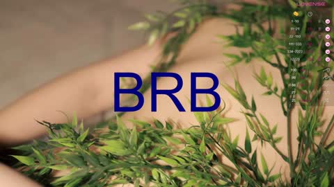 Toshi online show from January 2025 04:01:02 PM