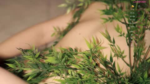 Toshi online show from November 2025 01:01:02 PM