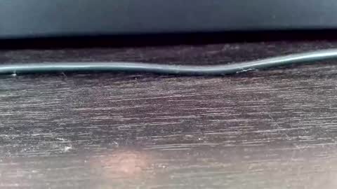 Vasiliy online show from February 2025 05:22:01 AM