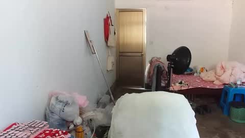 transelfenungehindert online show from May 2026 03:23:02 AM