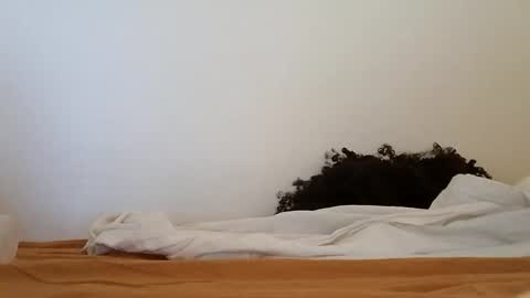 transexblackfat online show from November 2025 01:33:02 PM