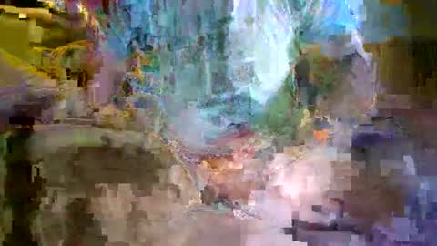 tree33007 online show from November 2025 04:04:01 AM