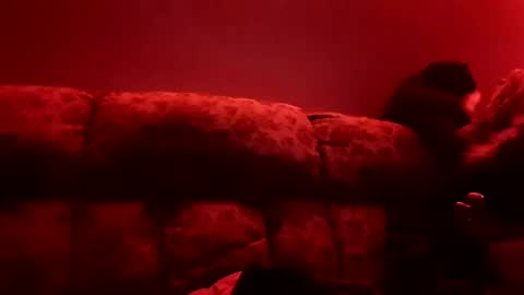 Snapshot of tretrix5588 chatting on January 2025 10:09:02 AM tretrix5588 online show from January 2025 10:09:02 AM