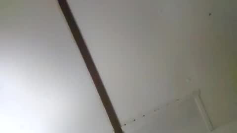 trex23rd online show from February 2026 09:35:02 AM