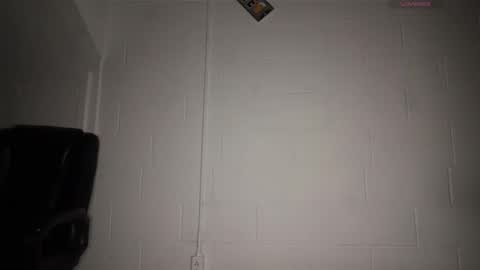 treyyzaddyy online show from February 2026 05:28:02 AM