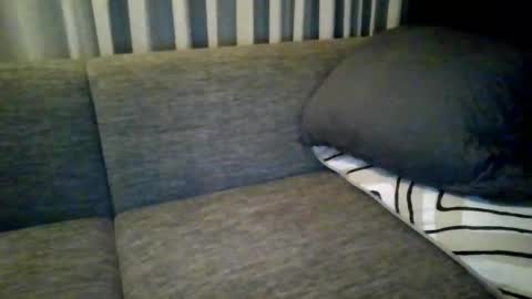 triciawu22 online show from December 2024 01:36:02 PM