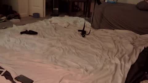 trickquestion online show from February 2025 08:49:02 AM